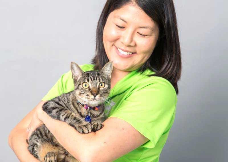 Carousel Slide 2: Cat veterinarians